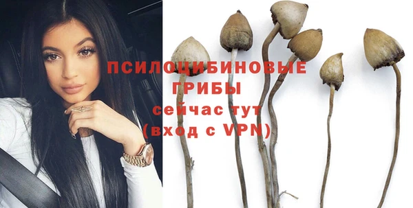 винт Мегион