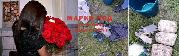 гидропоника Магас