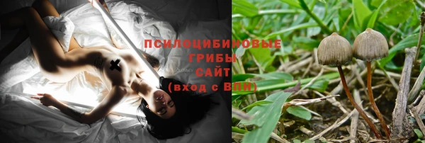 гидропоника Магас
